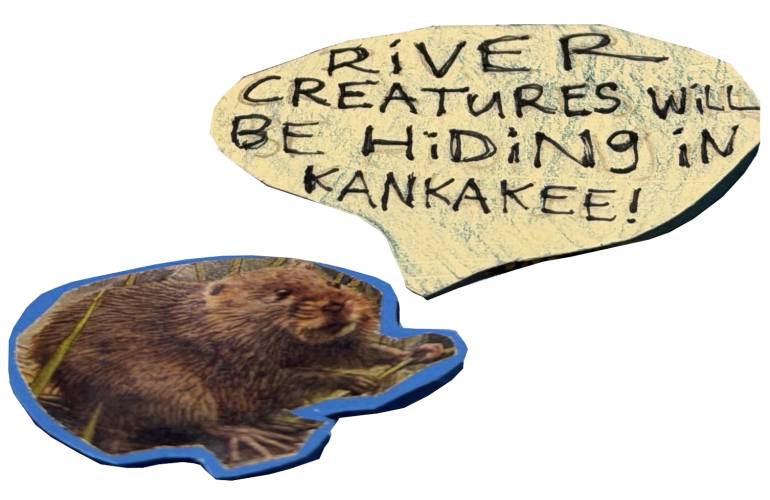 quest_beaver quest_beaver