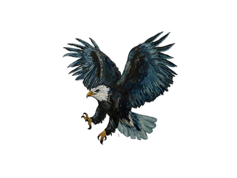 BALD_EAGLE_Chamblee_Dina