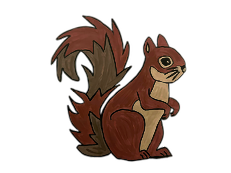 Fox_Squirrel_Johnson_Leah