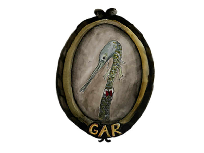 LONGNOSE_GAR_McDonald_Julia
