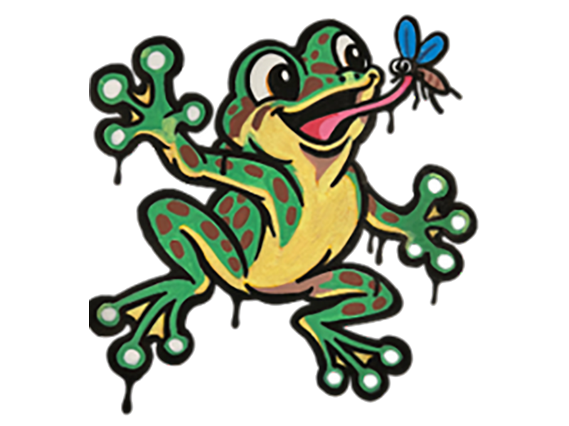 NORTHERN_CRICKET_FROG_Collins_Brandon2