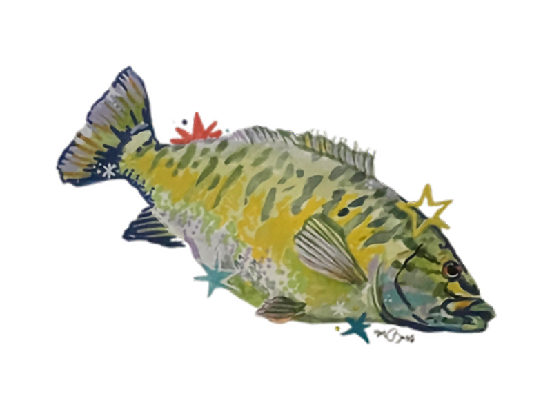 SMALLMOUTH_BASS_Bass_Mary